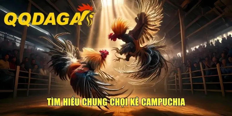 Chia Sẻ Top 4 Mẹo Cá Cược Đá Gà Online Thu Lãi Khủng
